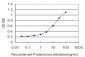 MR1 Antibody (monoclonal) (M03)